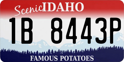 ID license plate 1B8443P