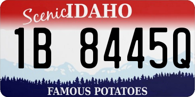 ID license plate 1B8445Q