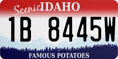 ID license plate 1B8445W