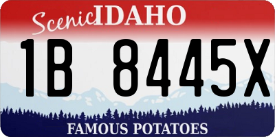 ID license plate 1B8445X