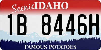 ID license plate 1B8446H