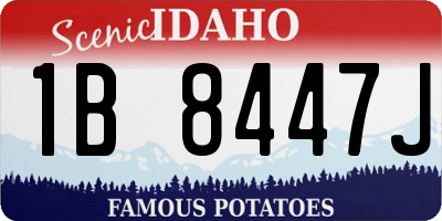 ID license plate 1B8447J