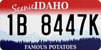 ID license plate 1B8447K