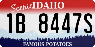 ID license plate 1B8447S