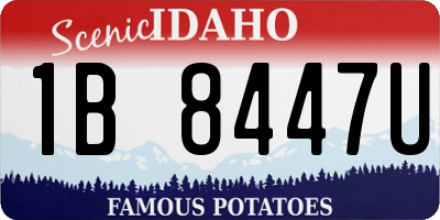 ID license plate 1B8447U