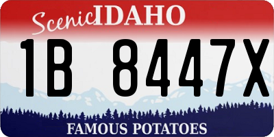 ID license plate 1B8447X