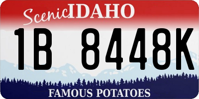 ID license plate 1B8448K