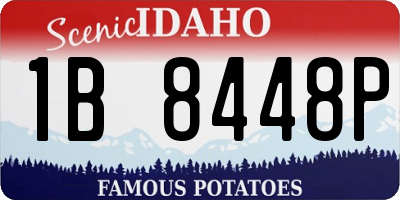 ID license plate 1B8448P