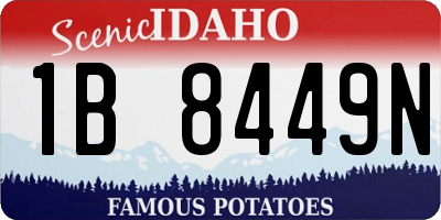 ID license plate 1B8449N