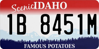 ID license plate 1B8451M