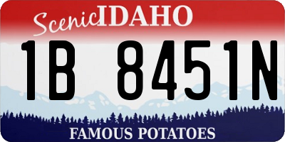 ID license plate 1B8451N