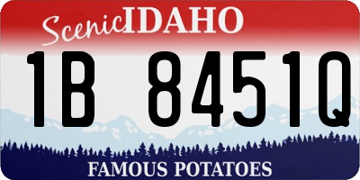 ID license plate 1B8451Q