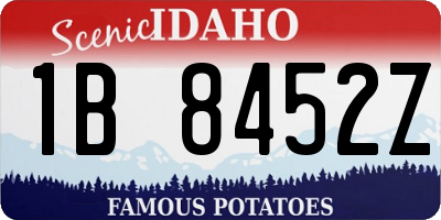 ID license plate 1B8452Z