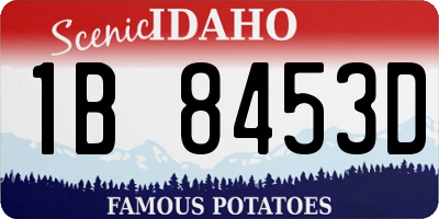 ID license plate 1B8453D