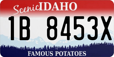 ID license plate 1B8453X