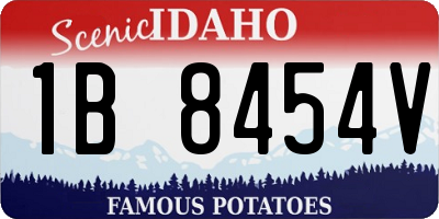 ID license plate 1B8454V