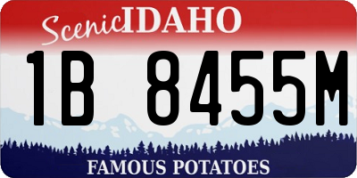 ID license plate 1B8455M