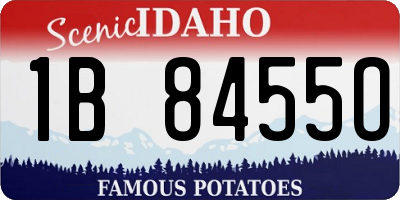 ID license plate 1B8455O