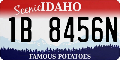 ID license plate 1B8456N