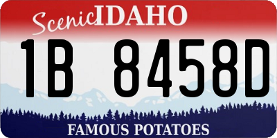 ID license plate 1B8458D