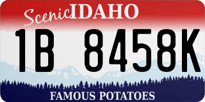 ID license plate 1B8458K