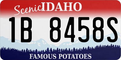 ID license plate 1B8458S