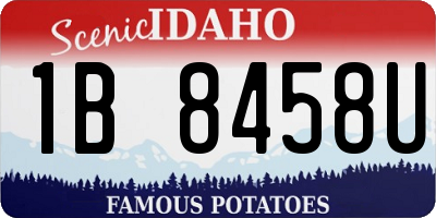 ID license plate 1B8458U