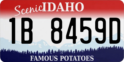 ID license plate 1B8459D