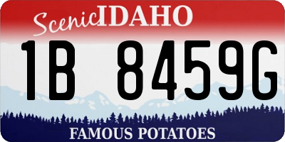 ID license plate 1B8459G