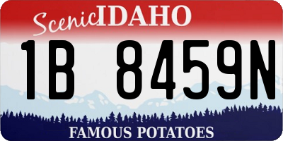 ID license plate 1B8459N