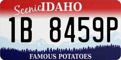 ID license plate 1B8459P