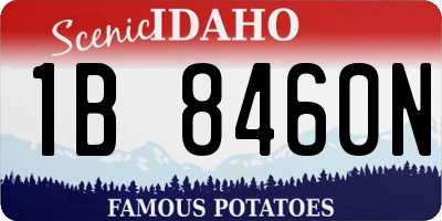 ID license plate 1B8460N