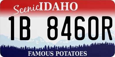 ID license plate 1B8460R