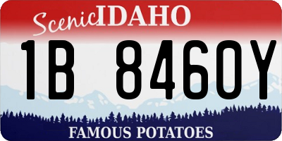 ID license plate 1B8460Y