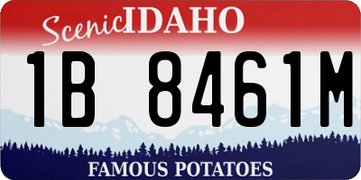 ID license plate 1B8461M