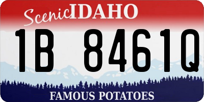 ID license plate 1B8461Q
