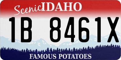 ID license plate 1B8461X
