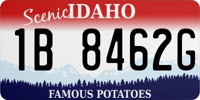 ID license plate 1B8462G