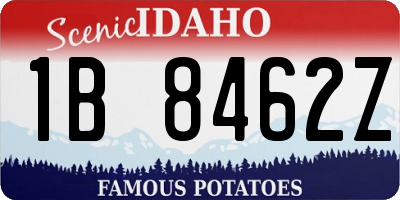 ID license plate 1B8462Z