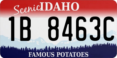ID license plate 1B8463C