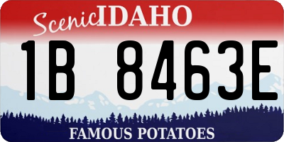 ID license plate 1B8463E