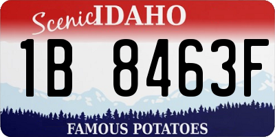 ID license plate 1B8463F