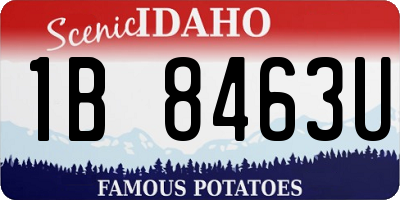 ID license plate 1B8463U