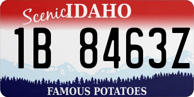 ID license plate 1B8463Z