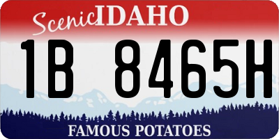 ID license plate 1B8465H
