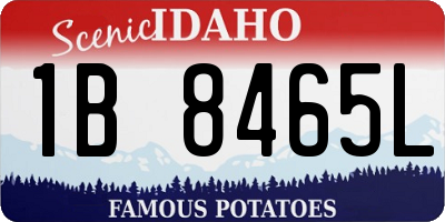 ID license plate 1B8465L