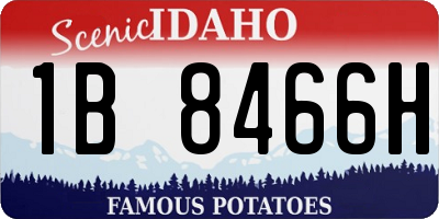 ID license plate 1B8466H