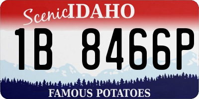 ID license plate 1B8466P