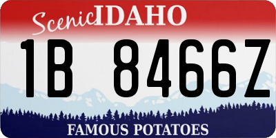 ID license plate 1B8466Z