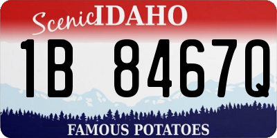 ID license plate 1B8467Q